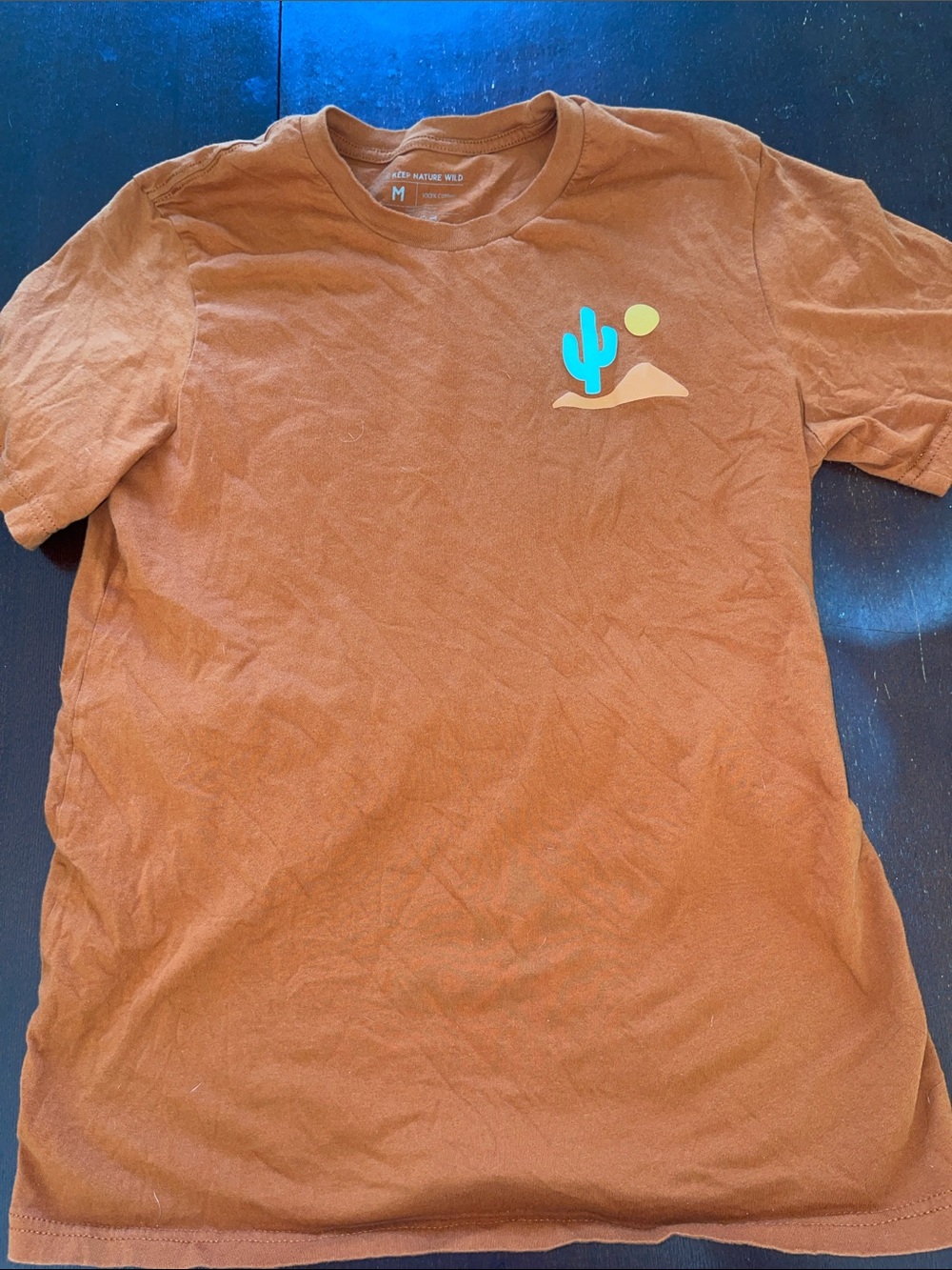 Rust Orange Graphic Tee with Desert Cactus